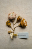 "Specimen" Brooch by Sophie Digard - Posidonia "Specimen" Brooch by Sophie Digard - Posidonia
