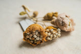 "Specimen" Brooch by Sophie Digard - Posidonia "Specimen" Brooch by Sophie Digard - Posidonia