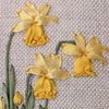 Daffodil Delight by Lorna Bateman Daffodil Delight by Lorna Bateman