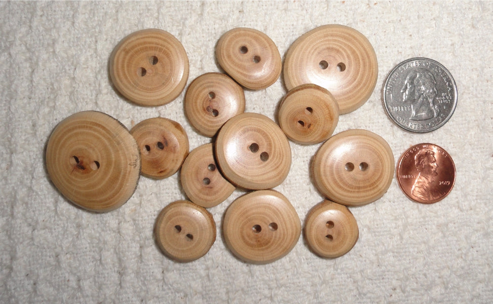 Witness Tree Button - Large