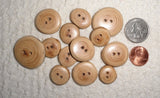 Witness Tree Button - Small Witness Tree Button - Small