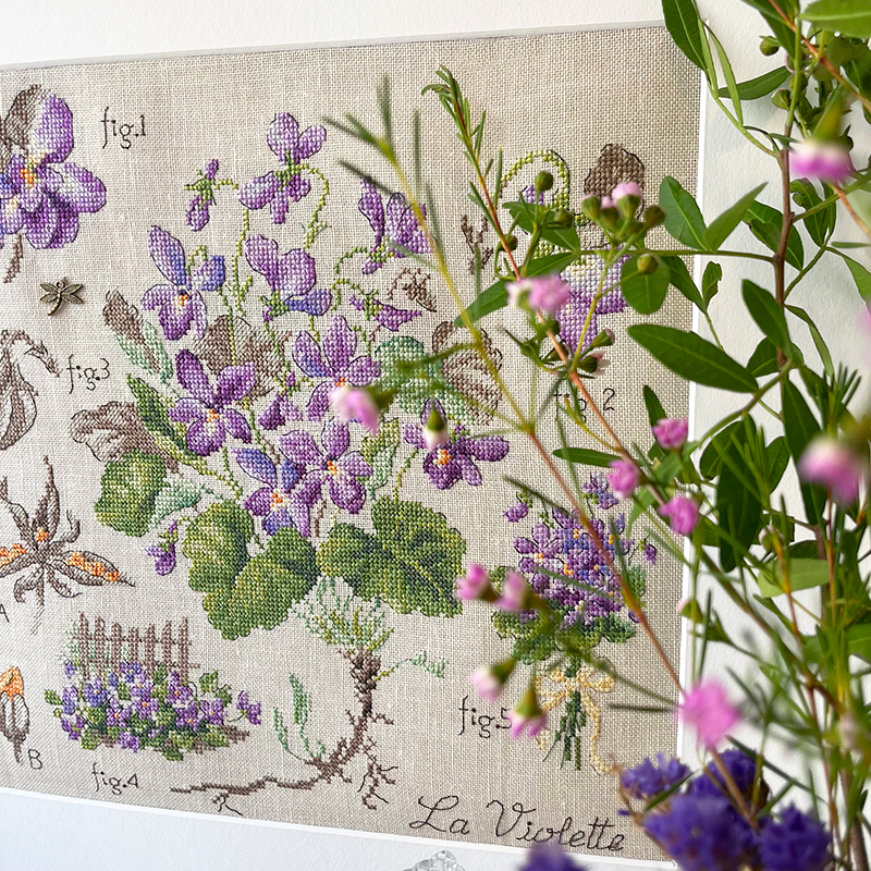 Violet Study Half-Kit