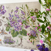 Violet Study Half-Kit Violet Study Half-Kit