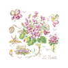 Violet Study Half-Kit Violet Study Half-Kit