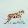 Three Miniature Safari Animals - Collection 2 Three Miniature Safari Animals - Collection 2