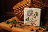 A Fine Tradition – The Embroidery of Margaret Light A Fine Tradition – The Embroidery of Margaret Light