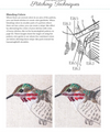 Beautiful Birds Book Beautiful Birds Book