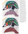 Beautiful Birds Book Beautiful Birds Book