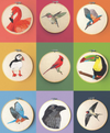 Beautiful Birds Book Beautiful Birds Book