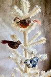 Velvet Song Birds - Natural Colors Velvet Song Birds - Natural Colors