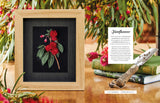 INSPIRATIONS MAGAZINE Issue #110 INSPIRATIONS MAGAZINE Issue #110