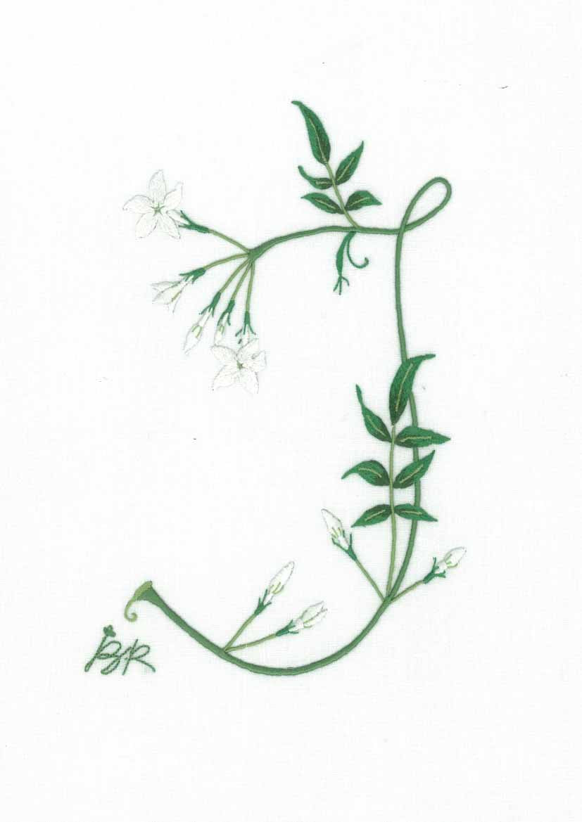 J - Alphabet Botanique by Bénédicte Réveilhac