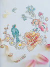 Les Oiseaux Book Les Oiseaux Book