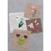 Des fleurs en broderie traditionnelle: 285 motifs Des fleurs en broderie traditionnelle: 285 motifs