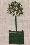 Orange Tree- Historic Garden Kit Orange Tree- Historic Garden Kit