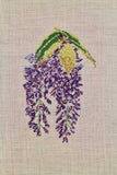 Glycine Historic Garden Kit - Large Glycine Historic Garden Kit - Large
