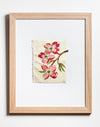 Dogwood Slow Stitching Kit Dogwood Slow Stitching Kit
