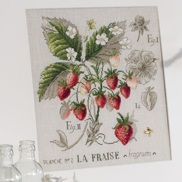 Strawberry Study Half-Kit