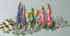 Spring Garden Kit Spring Garden Kit