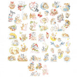 A Kitten's Life Story Chart A Kitten's Life Story Chart