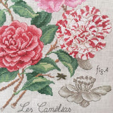 Camellia Study Half-Kit Camellia Study Half-Kit