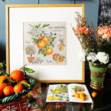 Citrus Study Half-Kit