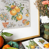 Citrus Semi Kit Citrus Semi Kit
