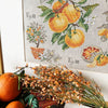 Citrus Semi Kit Citrus Semi Kit
