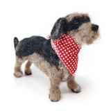Miniature Wire Haired Dachsund Needle Felting Kit Miniature Wire Haired Dachsund Needle Felting Kit