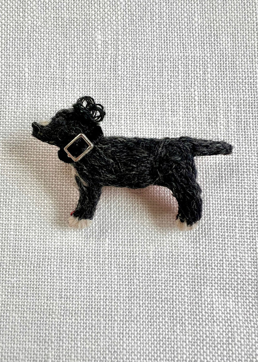 Black and White Doggie - Silver Buckle Collar