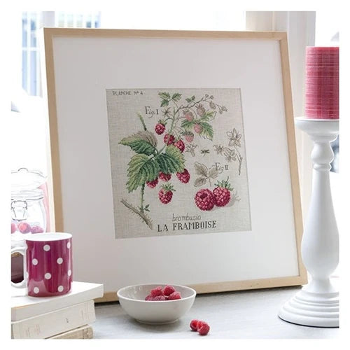 Raspberry Study Half-Kit