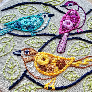 Colorful Birds Beginner Embroidery Kit