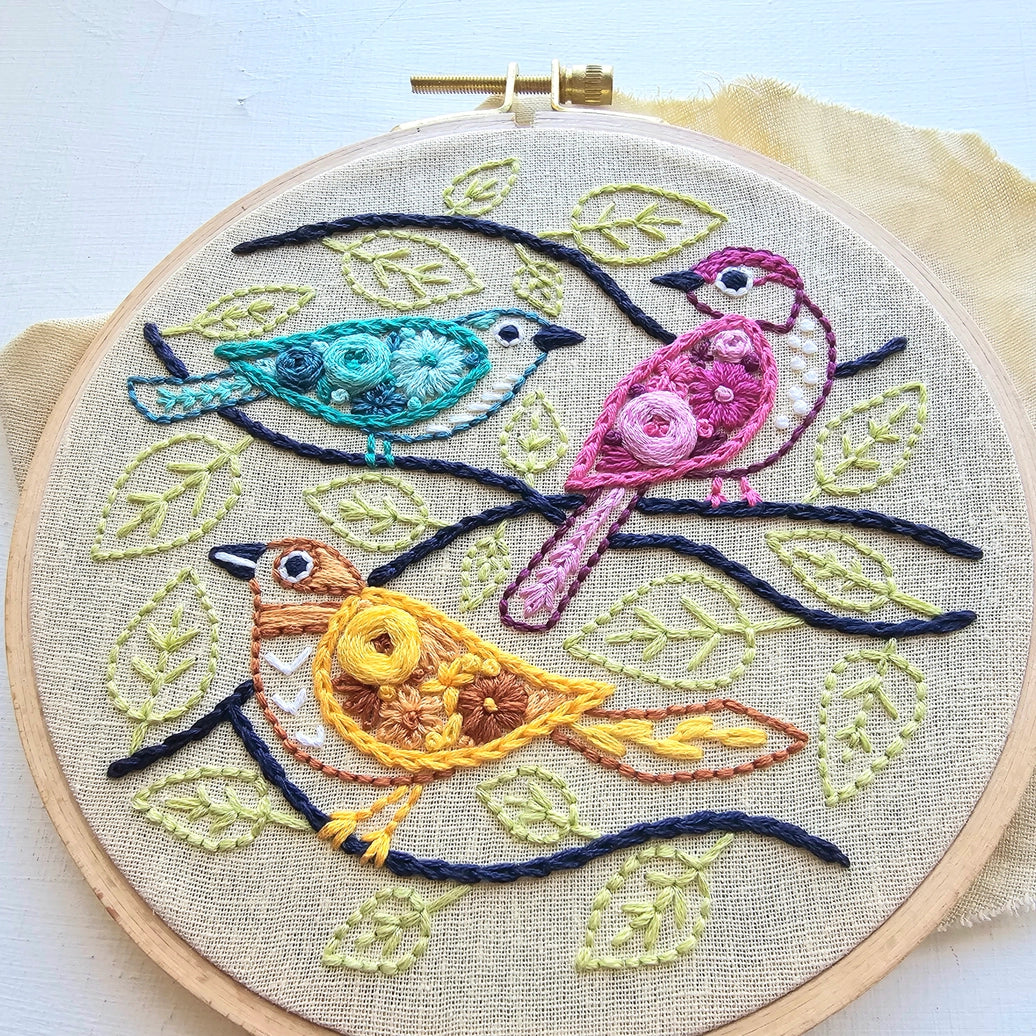 Colorful Birds Beginner Embroidery Kit