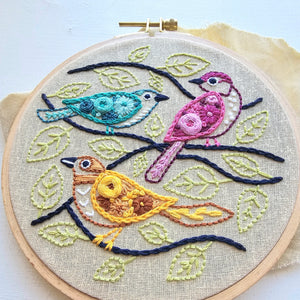 Colorful Birds Beginner Embroidery Kit