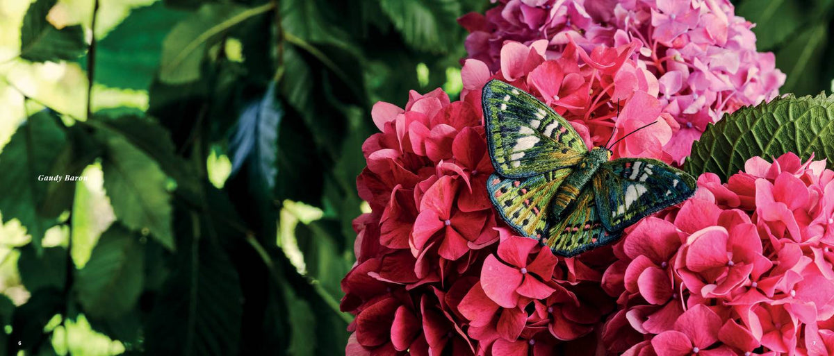 Beautiful Butterflies Book