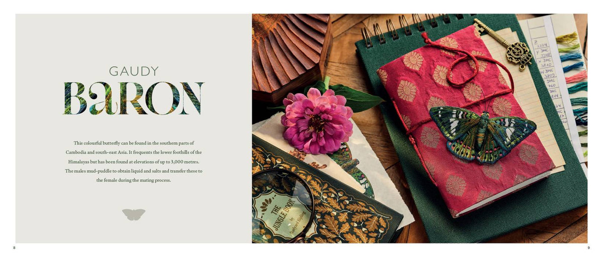 Beautiful Butterflies Book