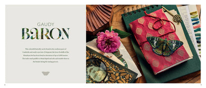 Beautiful Butterflies Book