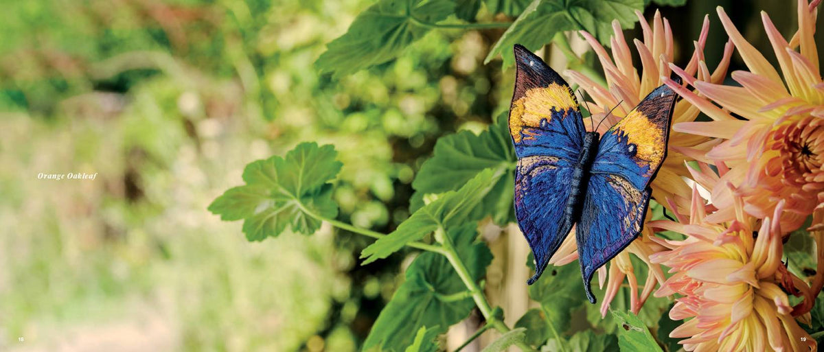 Beautiful Butterflies Book