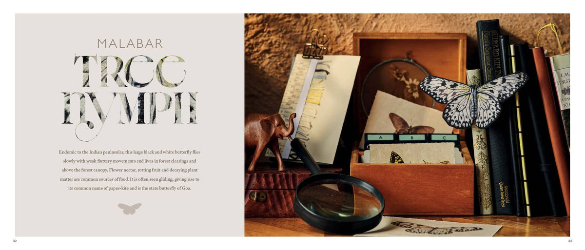 Beautiful Butterflies Book