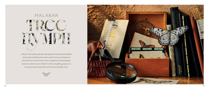 Beautiful Butterflies Book