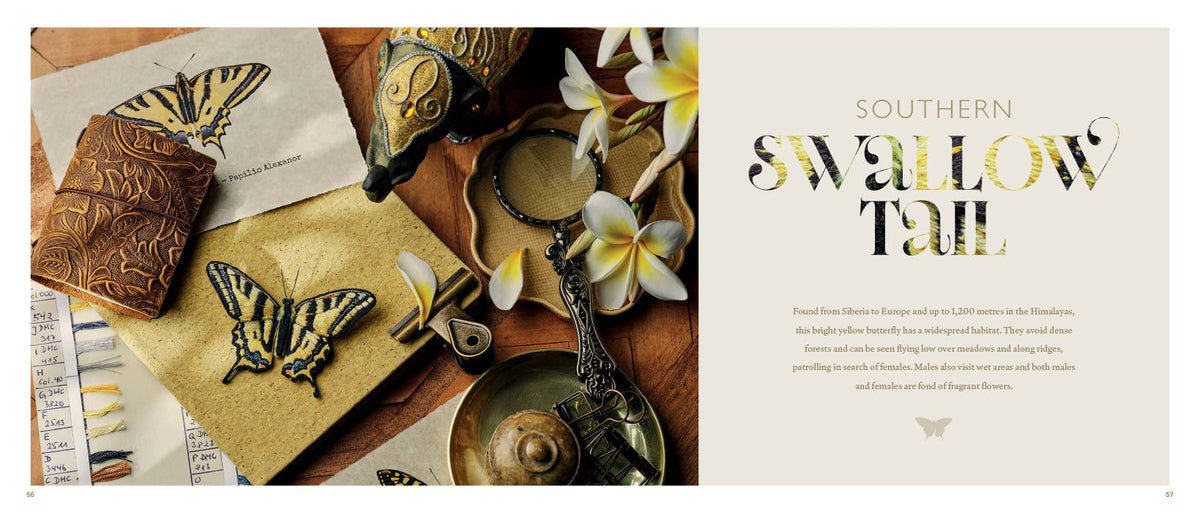 Beautiful Butterflies Book