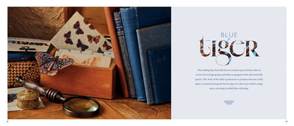Beautiful Butterflies Book