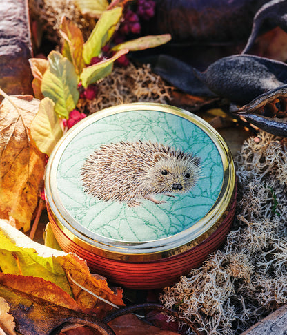 Life in Seasons Book - Summer & Autumn