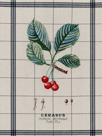 Cross-Stitch Nature Booklet