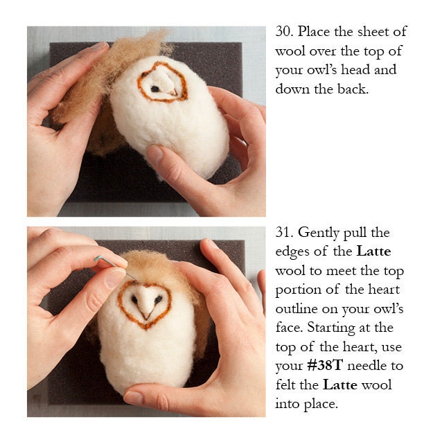Barn Owl Needle Felting Kit