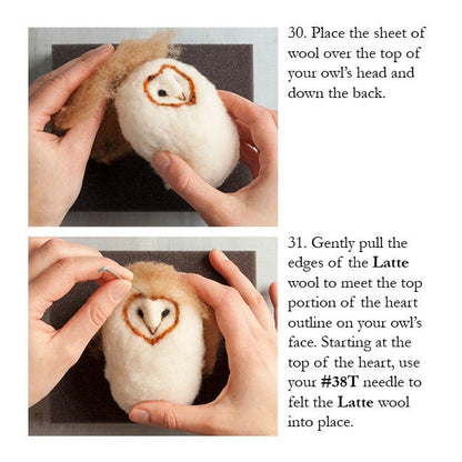 Barn Owl Needle Felting Kit