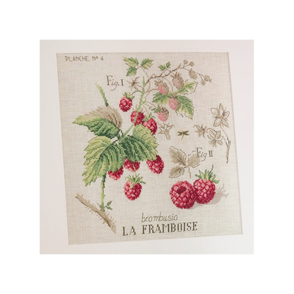Raspberry Study Half-Kit