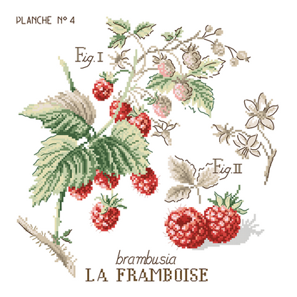 Raspberry Study Half-Kit