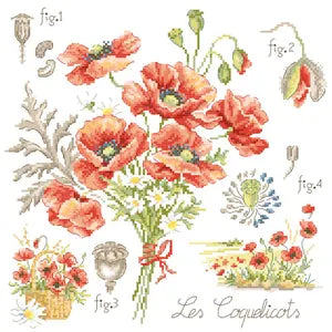 Poppy Study Half-Kit