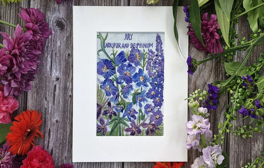 July - Larkspur and Delphinium